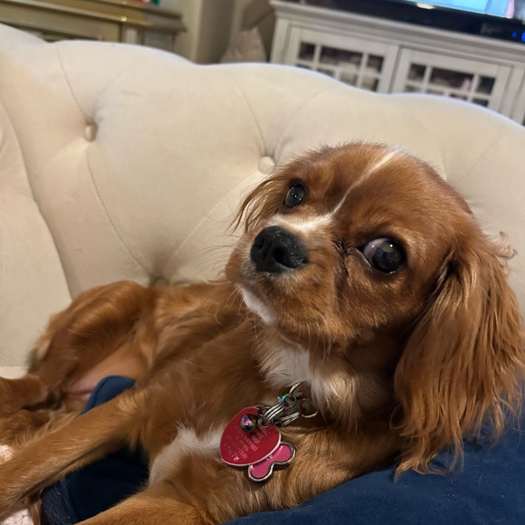 ♥️ Welcome to my Closet ♥️ - Picture 1 of 8